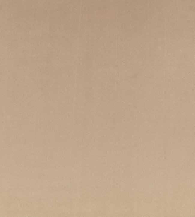 Z Suede Fabric by Zinc Driftwood