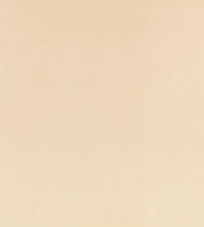 Z Suede Fabric by Zinc Gazelle