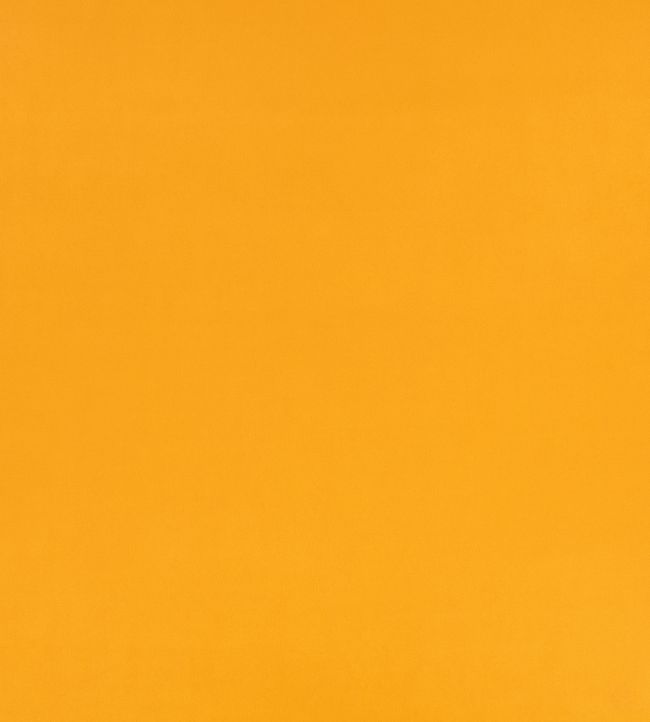 Z Suede Fabric by Zinc Ochre