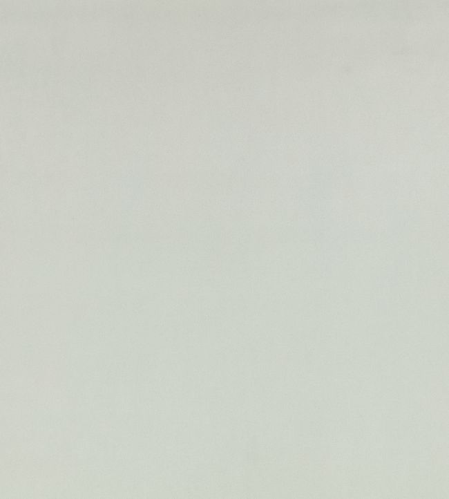 Z Suede Fabric by Zinc Powder