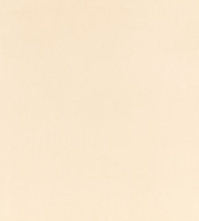 Z Suede Fabric by Zinc Shingle