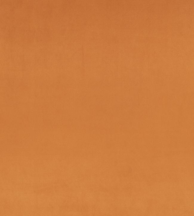 Z Suede Fabric by Zinc Tan