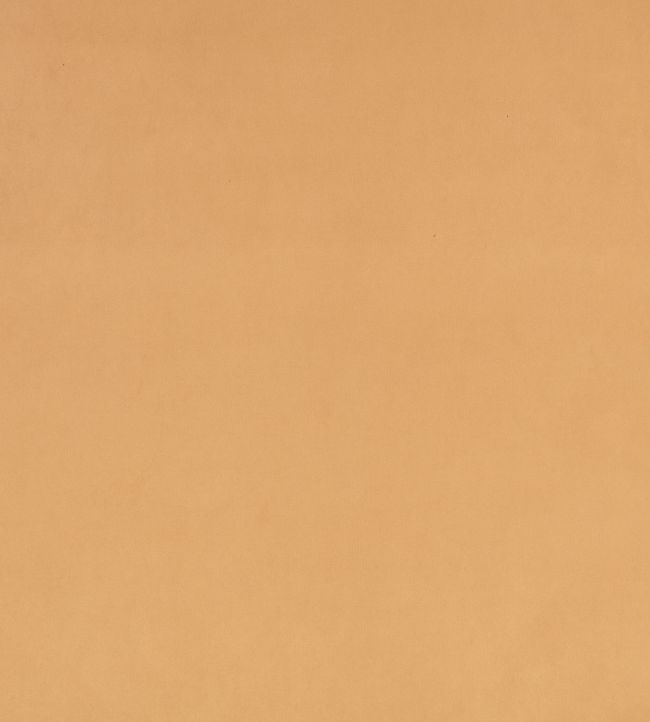 Z Suede Fabric by Zinc Tobacco