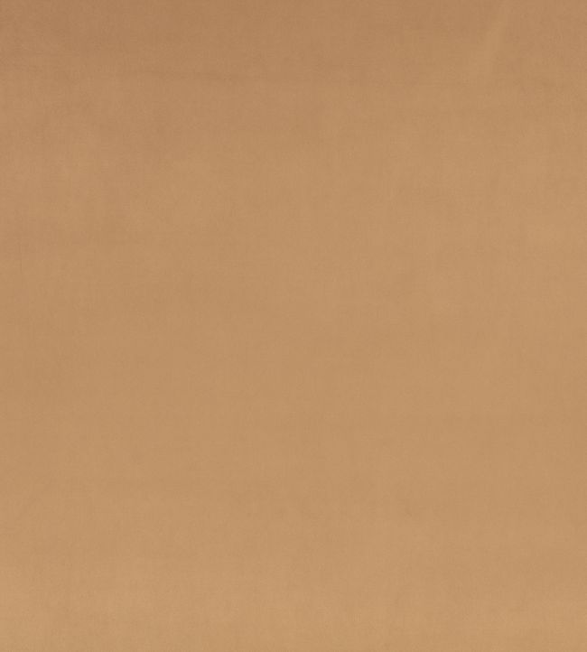 Z Suede Fabric by Zinc Truffle