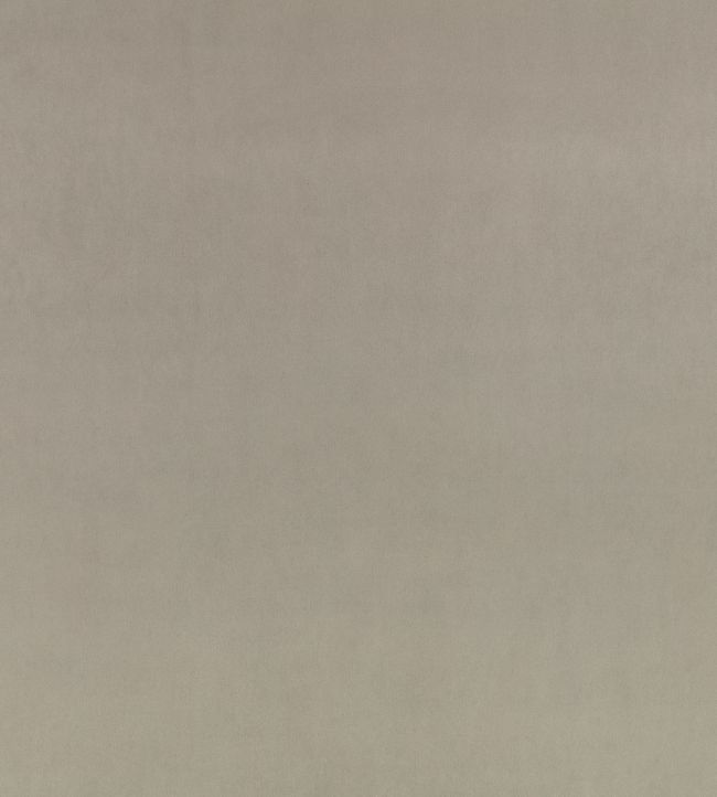 Z Suede Fabric by Zinc Tungsten