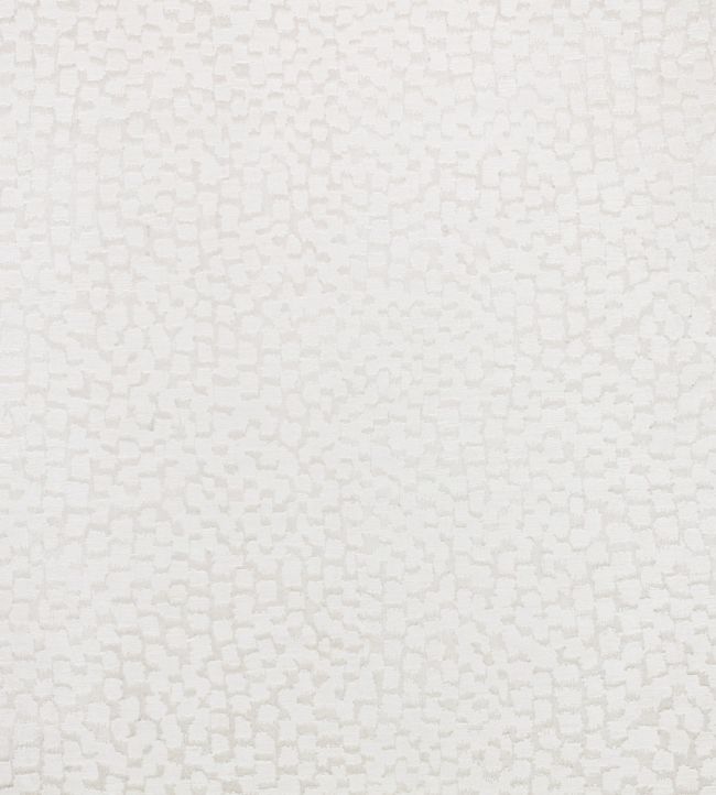 Zardozi Fabric by Black Edition Opaline