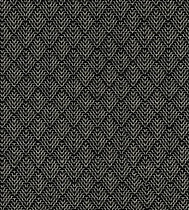 Zella Fabric by Wemyss Carbon