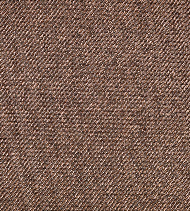 Zeo Fabric by Black Edition Medjool