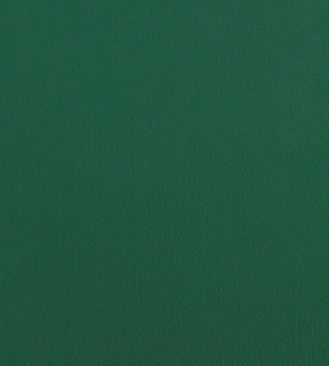 Zephyr Plain Fabric by Zoffany Huntsman Green