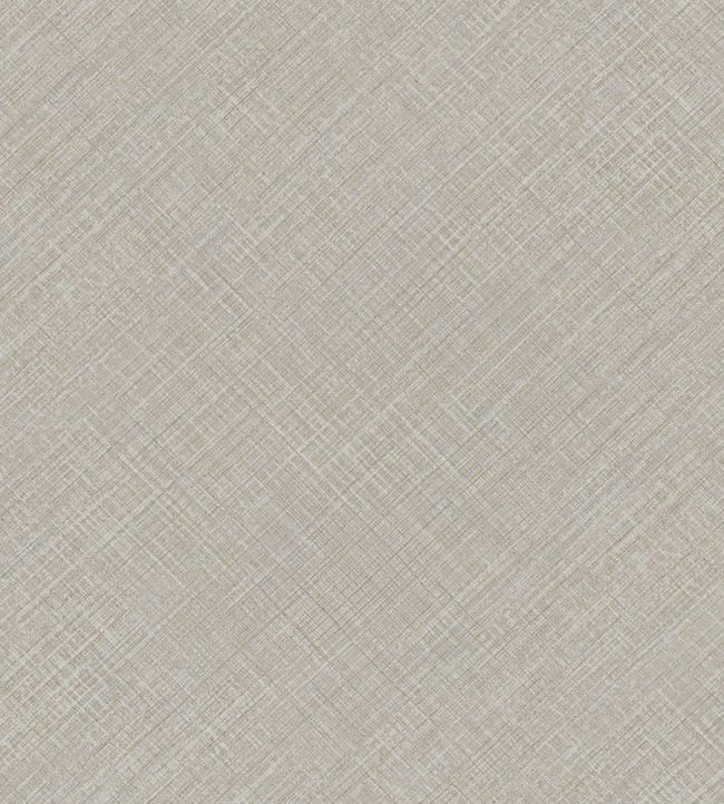 Zephyros Wallpaper by Jannelli&Volpi Light Grey