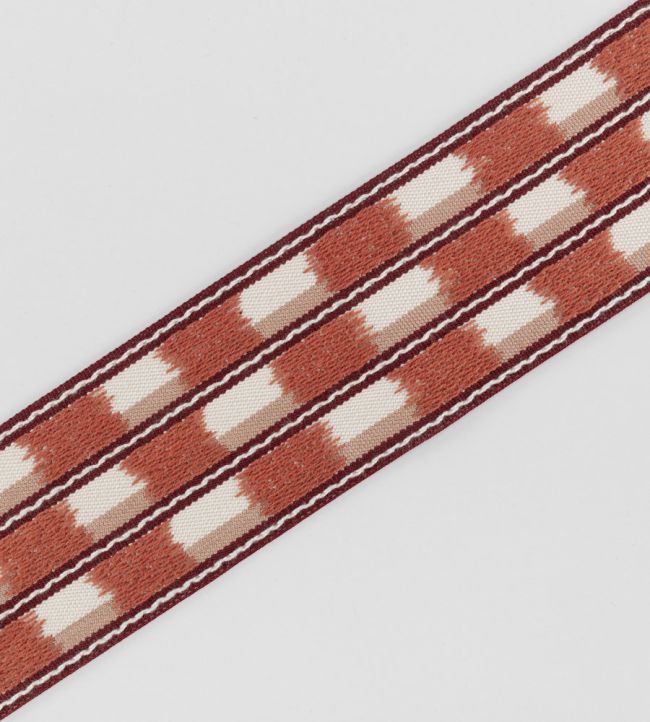 Zhari Braid Trimming by Romo Pimento