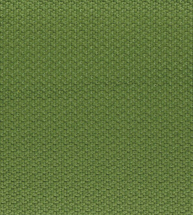 Ziro Fabric by Casamance Vert