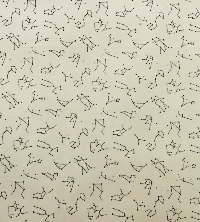 Zodiac Fabric by Casal Eclipse