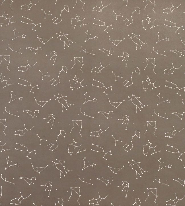 Zodiac Fabric by Casal Fumee