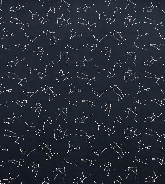 Zodiac Fabric by Casal Minuit