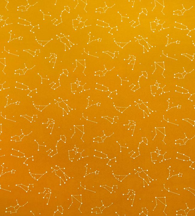 Zodiac Fabric by Casal Soleil