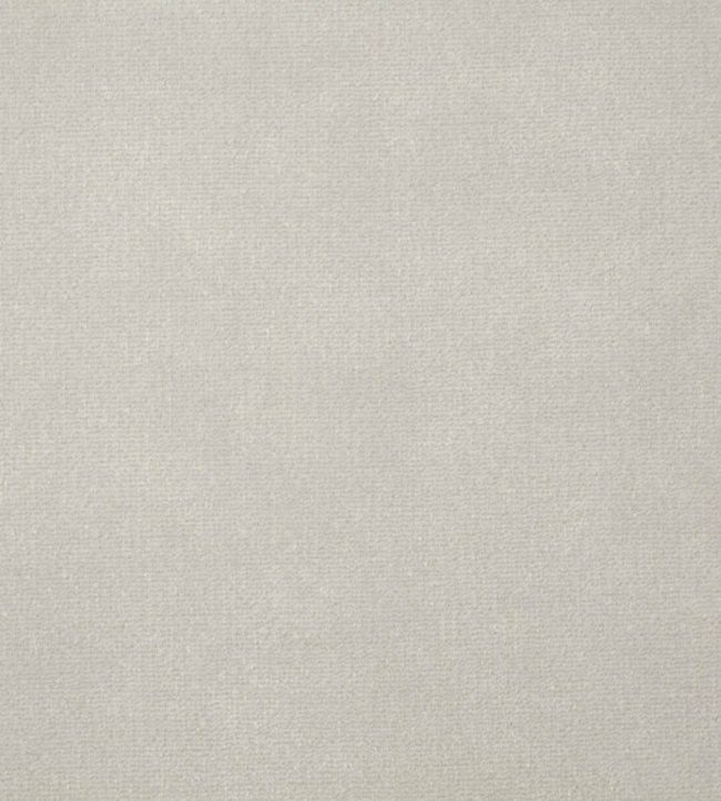 Zoffany FR Velvet Fabric by Zoffany Oyster