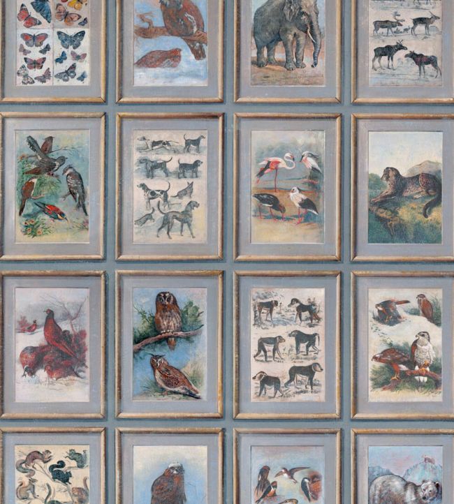 Zoology Wallpaper by Andrew Martin Multi