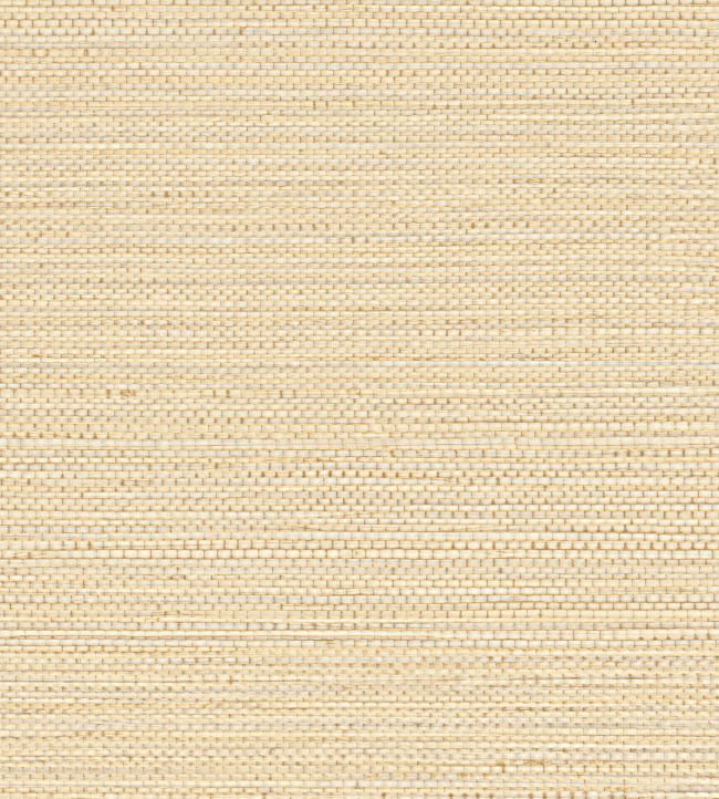 Zostera Wallpaper by Casamance Coquille
