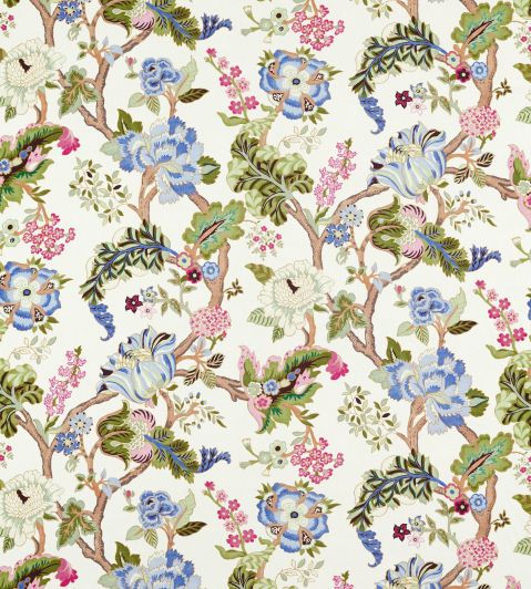 fusang-tree-sanderson-226964-