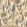 Abr Wallpaper by Coordonne Cream