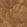 Abstract Leaves Wallpaper by Eijffinger Orange/Copper