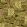 Acacia Canopy Wallpaper by Cole & Son Safari