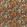 Acropora Brazilian Fabric by Harlequin Rosewood / Nectar / Tree Canopy
