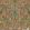 Afrika Kingdom Wallpaper by Cole & Son Olive Green & Spring Green on Metallic Bronze