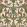 Afrika Kingdom Wallpaper by Cole & Son Olive Green & Spring Green on Cream