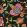 Al Fresco Fabric by MINDTHEGAP Black