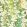Alcea Wallpaper by Woodchip & Magnolia Green with Envy