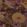 Alchemy Fabric by Warwick Amethyst