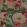 Alchemy Fabric by Warwick Paprika