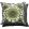 Alexi Cushion 50 x 50cm by William Yeoward Sage