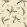 Algaida Wallpaper by Tres Tintas Beige