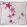 All Star Cushion 45 x 45cm by Barneby Gates Candy