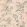 Almora Wallpaper by Nina Campbell 1