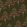 Alpine Wallpaper by MINDTHEGAP Juniper