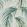 Alvaro Wallpaper by Harlequin Atlantic/Palm/Mineral