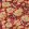 Amara Butterfly Wallpaper by Sanderson Cinnabar / Ink Black