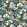 Amaryllis Wallpaper by Casamance Noir/Dore