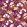 Amaryllis Wallpaper by Casamance Pourpre/Ambre