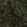 Amazon Wallpaper by Rebel Walls Fern