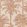 Amazzonia Wallpaper by Jannelli&Volpi Orange