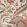 Amberley Fabric by Titley and Marr Latte, Coral & Sage
