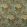 Amboise Fabric by Casal Vegetal