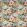 Amelia Fabric by Prestigious Textiles Papaya