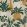 Amphora Wallpaper by Osborne & Little Emerald/Gold