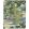 Ancient Canopy Rug by Sanderson Forest Green
